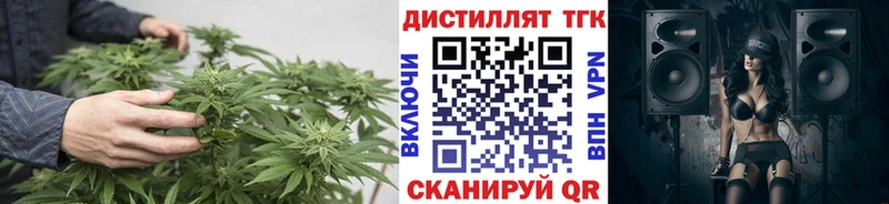Дистиллят ТГК концентрат  цены наркотик  Оленегорск 